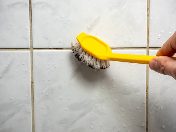 Best Commercial Mold Remediation in Lake Vla, IL