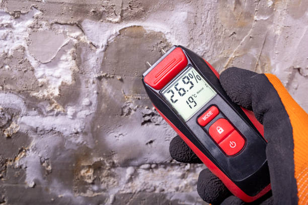 Best Kitchen Mold Remediation in Lake Vla, IL