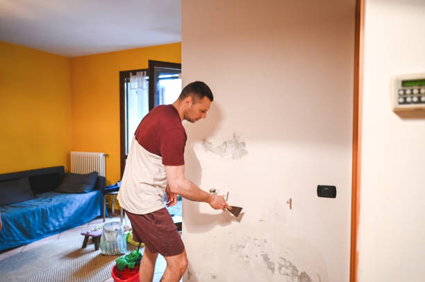 Best Health and Safety Mold Remediation in Lake Vla, IL